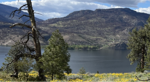 Okanagan on level 2 drought due to low snowpack, lack of rain