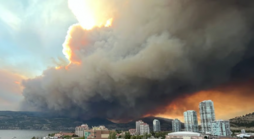 'Listen to our experts': NDP says response to wildfires will be different this year