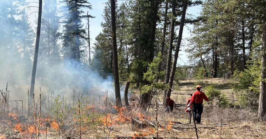 <who> Photo Credit: BCWS file picture of wildfire mitigation work