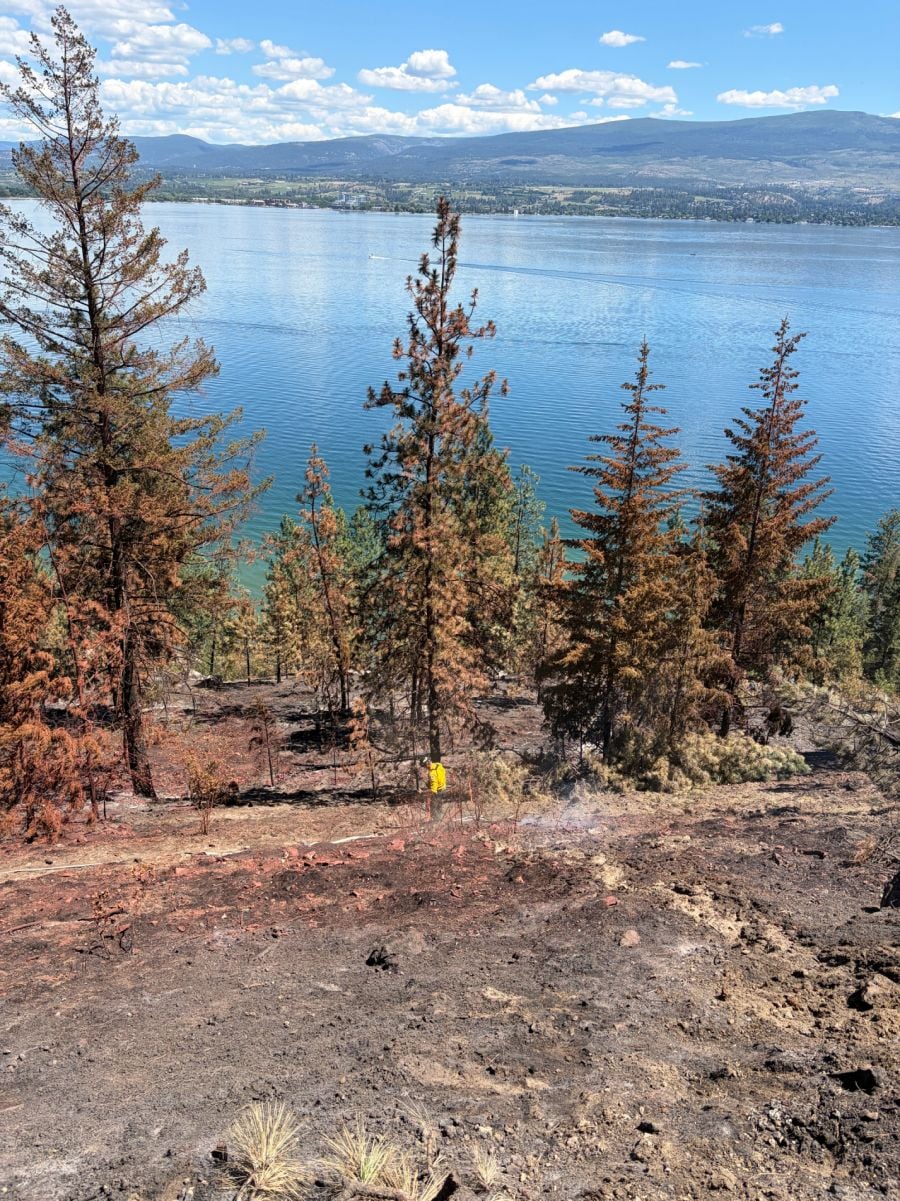 </who>What burned sections of the park look like.