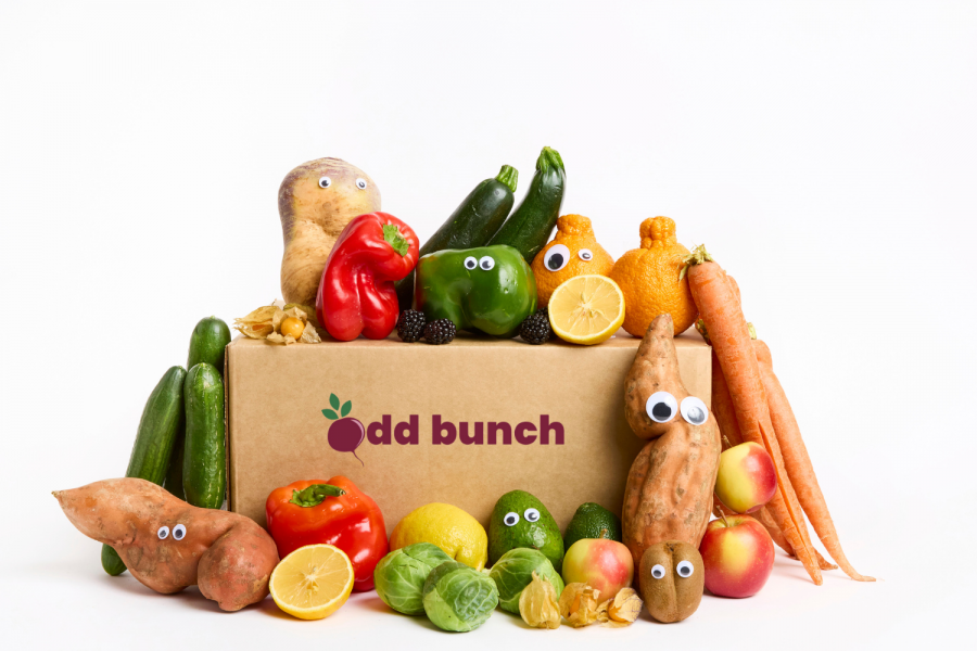 <who>Odd Bunch</who>