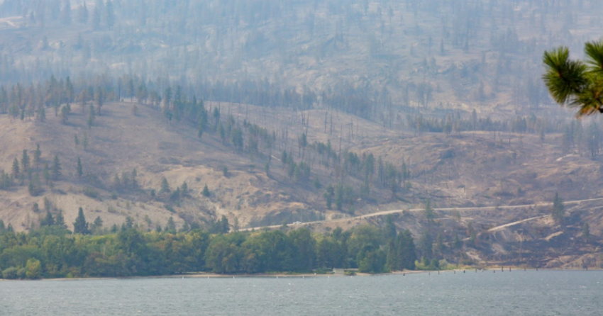 <who> Photo Credit: KelownaNow </who> The campground was left relatively undamaged by the McDougall Creek fire.