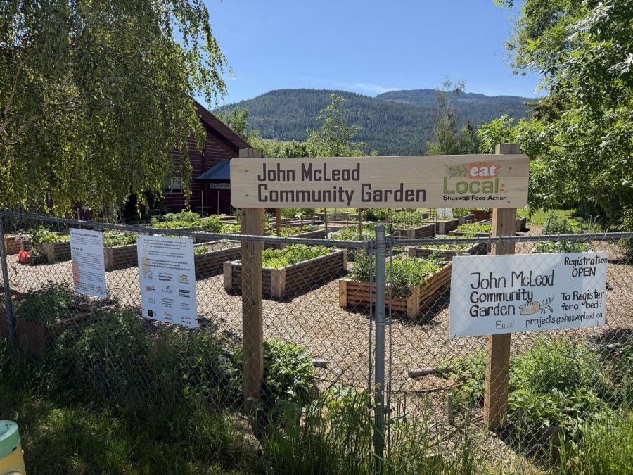 <who>Photo Credit: Contributed</who>OC Carpentry Foundation students framing at Gardom Lake Kids Camp and Retreat Centre