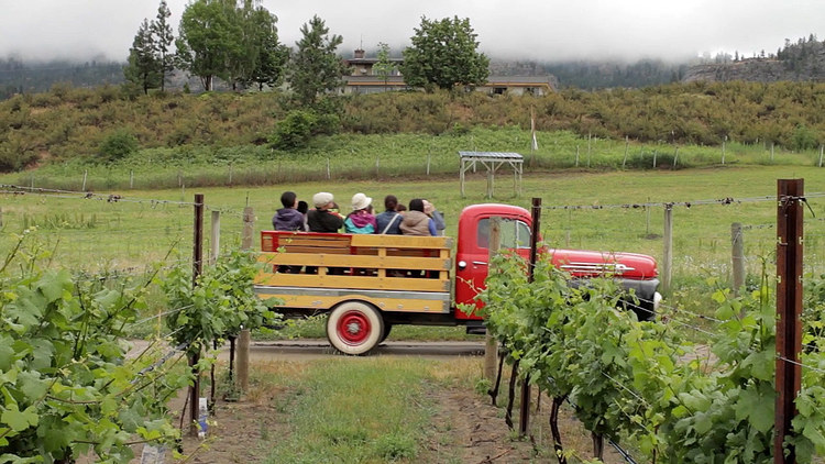 <who>Photo Credit: Contributed</who>The Covert Farms Family Estate tour is a Canadian Signature Experience, complete with red vintage pickup truck.