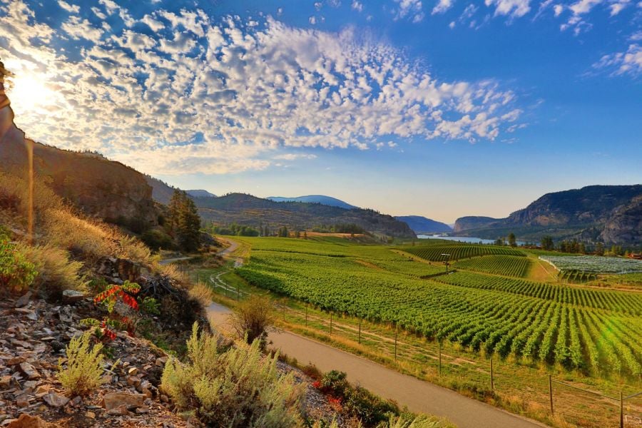 <who>Photo Credit: KelownaNow</who>Take a day and explore Okanagan Wine Country during the Spring Okanagan Wine Festival.