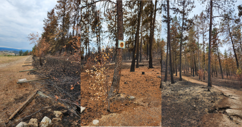 <who> Photo Credit: RDCO </who> The damage to Stephens Coyote Regional Park.