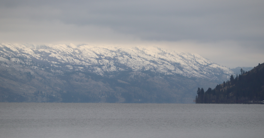 <who> Photo Credit: KelownaNow