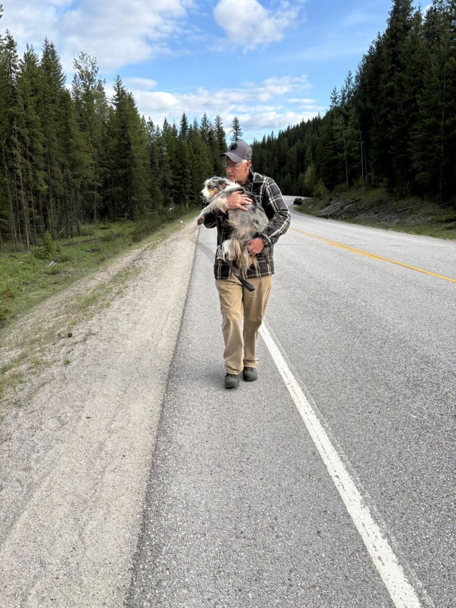 <who>Photo Credit: Annelise Freeman</who>Daisy was found on Tuesday.
