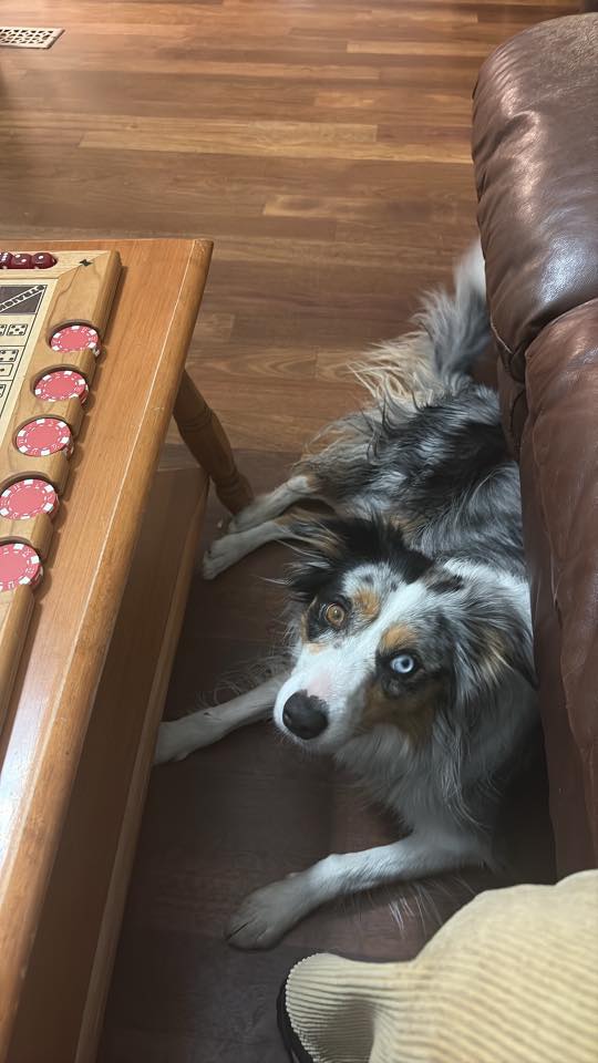 <who>Photo Credit: Dearah Jordan</who>Daisy reportedly hasn't left Dearah Jordan's side since returning home on Tuesday.