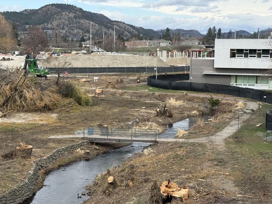 </who>This footbridge across Mill Creek used to be hidden from the view from the Highway 97 overpass at Landmark.