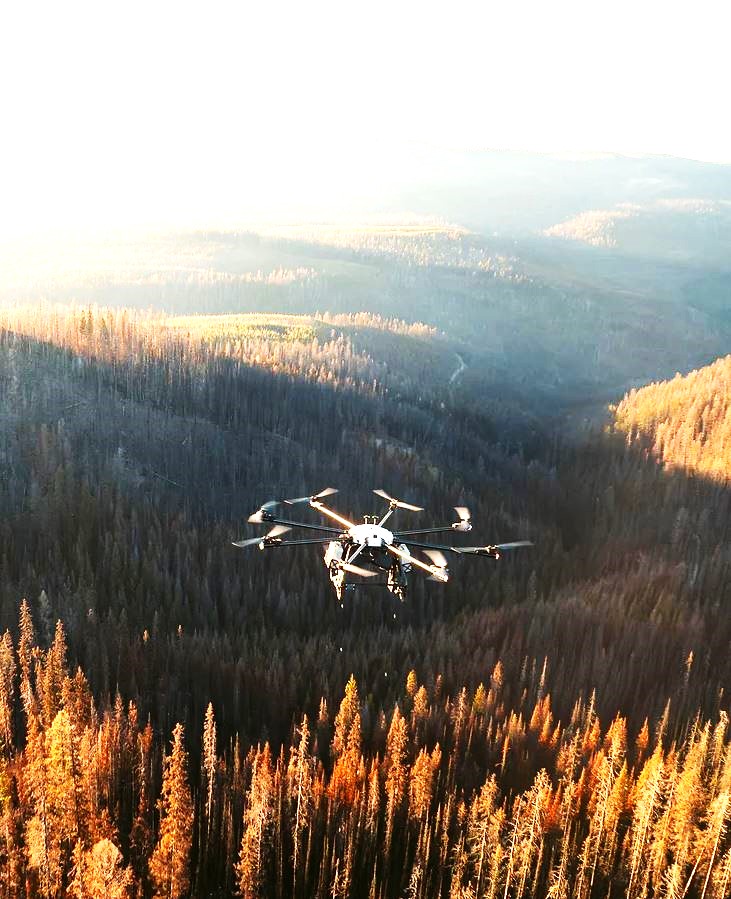 <who>Photo credit: Flash Forest</who>Flash Forest plants trees by drone.