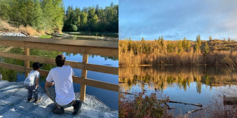 <who>Photo Credit: The Wild Lifers</who>It wasn't long ago that Frazer Lake was full and the ecosystem was thriving.