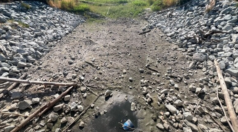 <who>Photo Credit: The Wild Lifers</who>The current state of Frazer Lake.