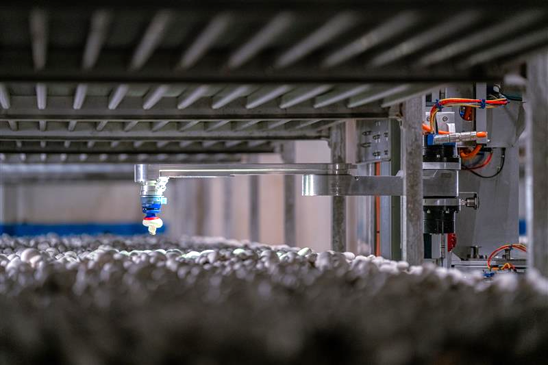 </who>The arm of the robotic mushroom picker.