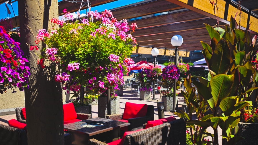 <who>Photo Credit: Contributed</who>Ramada Hotel patio - Mother's Day