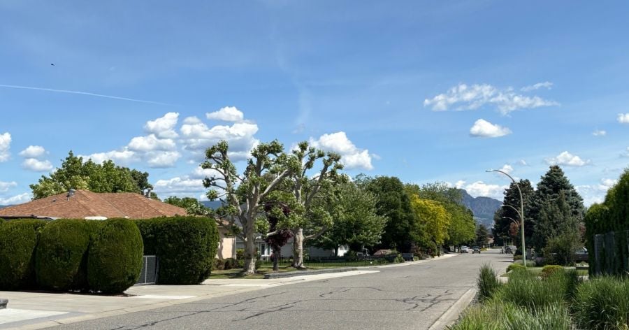 <who>Photo Credit: KelownaNow