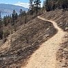 Crews working diligently to reopen parts of Kalamoir Park ASAP after wildfire