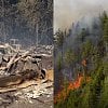 <span style="font-weight:bold;">UPDATE:</span> Structures destroyed as Ainslie Creek wildfire explodes to 17,000 hectares