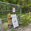<span style="font-weight:bold;">UPDATE:</span> Gellatly Nut Farm orchard reopens after wildlife-related closure
