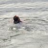 Man swims across Thompson River to escape police after stealing ATM from Kamloops pub