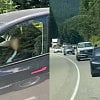 <span style="font-weight:bold;">VIDEO:</span> Police investigating footage of BC Tesla driver asleep at the wheel on Hwy 1
