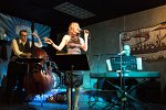 Kelowna Jazz Trio Photo