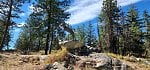 Acreage with Spectacular View! 75 Blacktail Road Photo