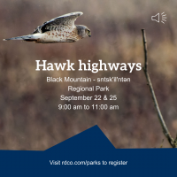 Hawk highways