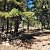 Acreage with Spectacular View! 75 Blacktail Road Photo