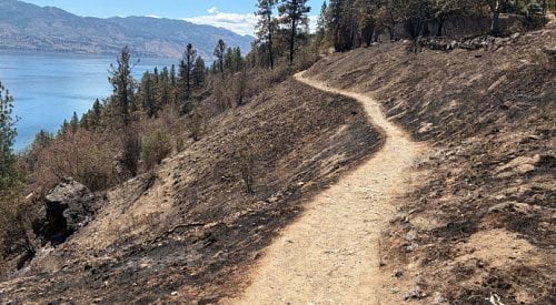 Crews working diligently to reopen parts of Kalamoir Park ASAP after wildfire