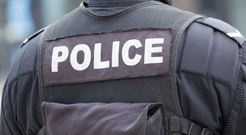 Temperature reached 50°C inside vehicle where dog was left at BC mall